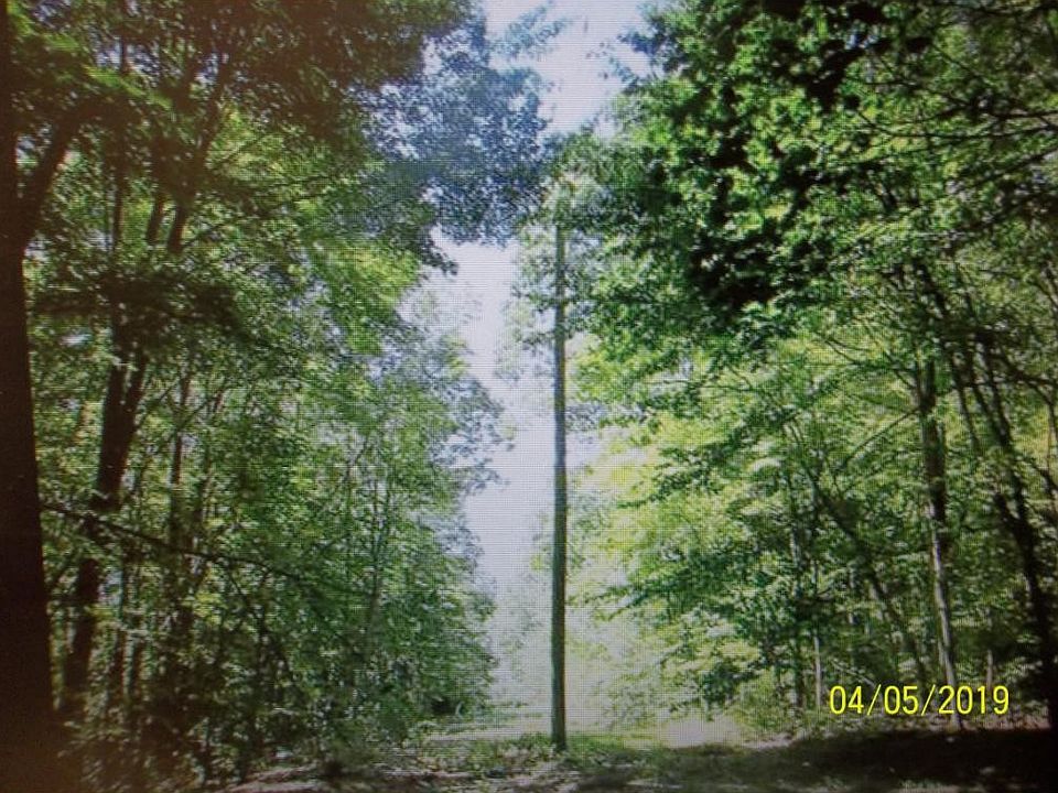 2nd image of 0 Browns Mountain Rd