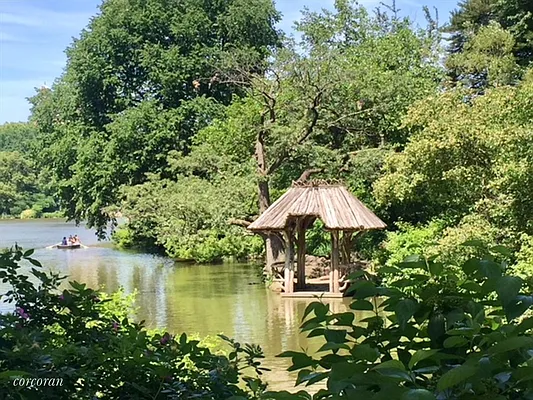 Sold by Corcoran | media 20