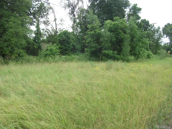 0 Seymour Lake Rd, Ortonville, MI 48462