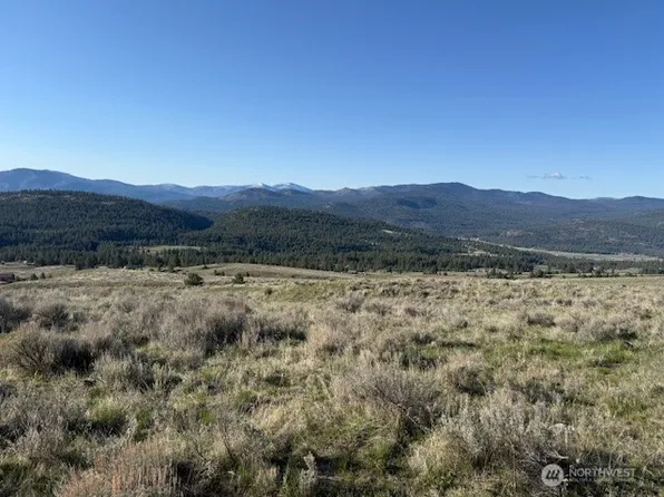 111 TBD White tail Lane, Tonasket, WA 98855