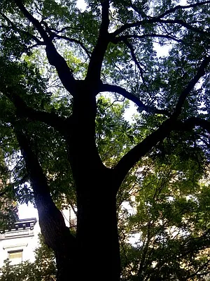 Rented by Prince Real Estate Associates LLC | media 38