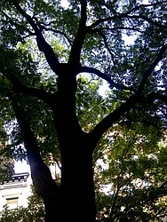 Rented by Prince Real Estate Associates LLC