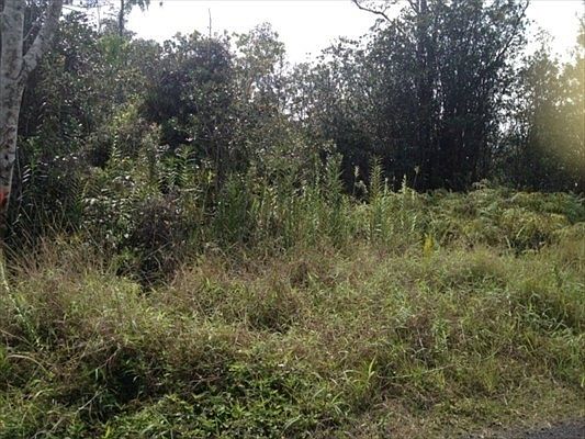 2nd image of 40th Avenue Orchidland Lot 20