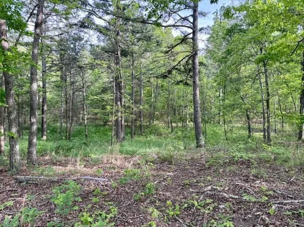 000 Couty Road 2660, Mountain View, MO 65548