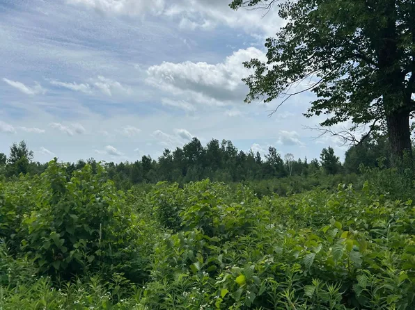 Tbd1 Duncan Rd, Sandstone, MN 55072