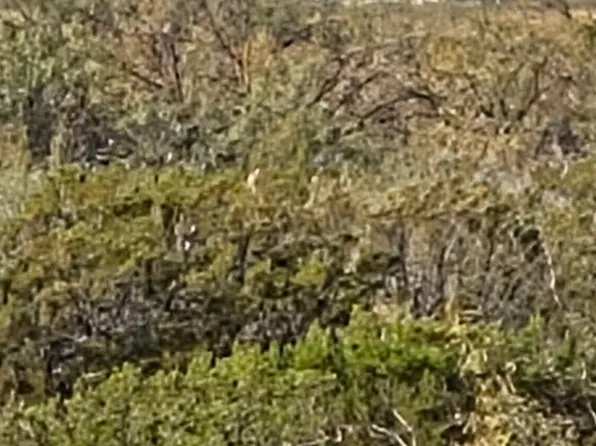 20 Schoeller Pl, Tularosa, NM 88352