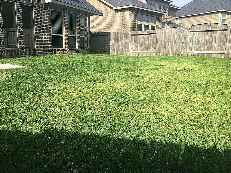 27802 Amy Willow Ln — Photo 29