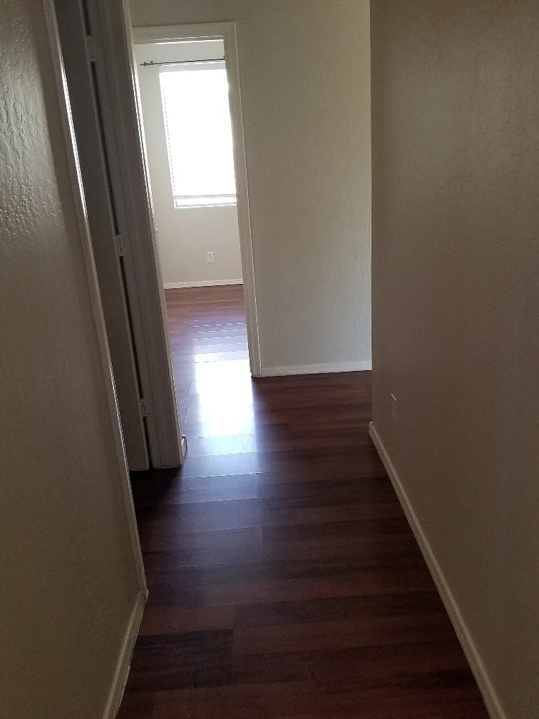 4 bedroom house in South Gilbert — Photo 4