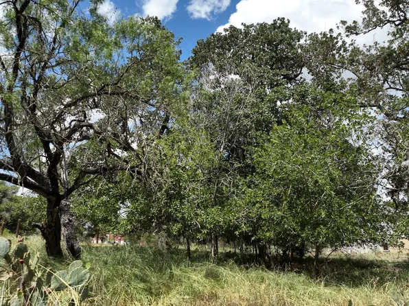 128 Little Creek LOT 38, Floresville, TX 78114
