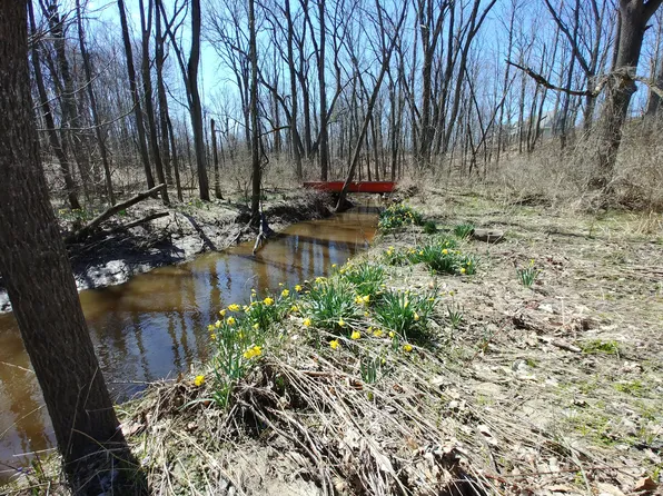 9900 Maudlin Rd, New Buffalo, MI 49117