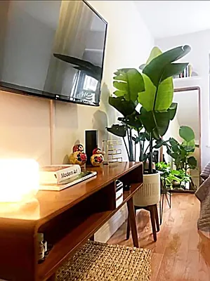 Rented by Buchbinder & Warren | media 10