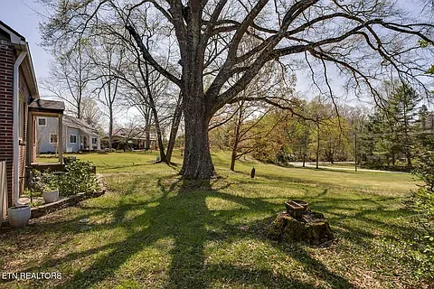 Another sideview of the front yard.