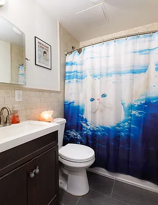 Rented by Compass | media 21