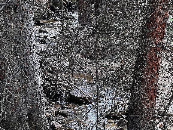 Other side of creek, run off