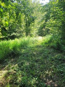 LOT 39-39.22 Main St, Becket, MA, 01223