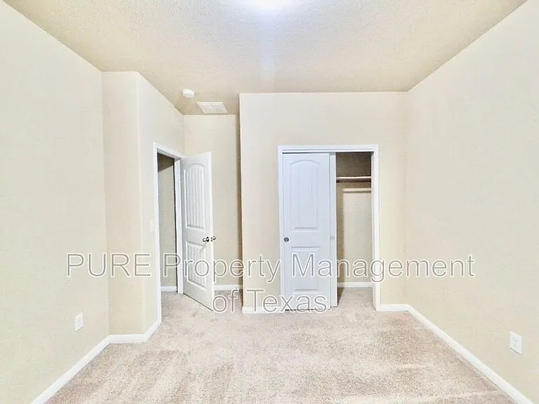 309 Epiphany Ln — Photo 16