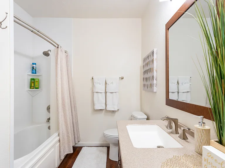 Bathroom 2: Bathtub and Shower Combo