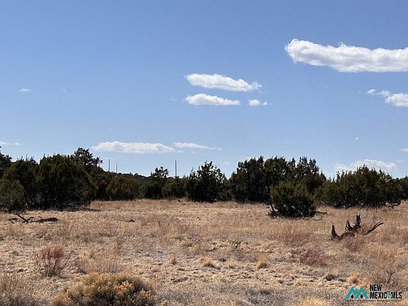 5th image of 173 Pinon Springs Rd #173