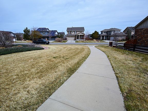 View from Park to House