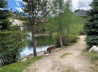 800 Copper Rd #386, Frisco, CO 80443