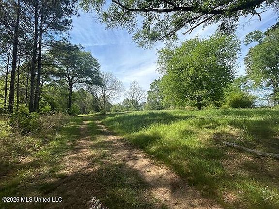3rd image of Mount Zion Ln
