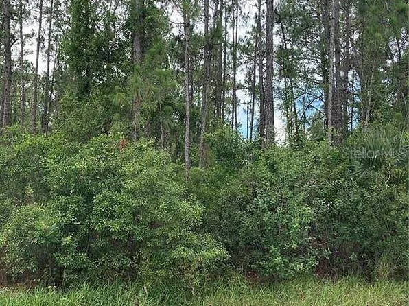 Bristol Avenue Lot #21, North Pt, FL 34291