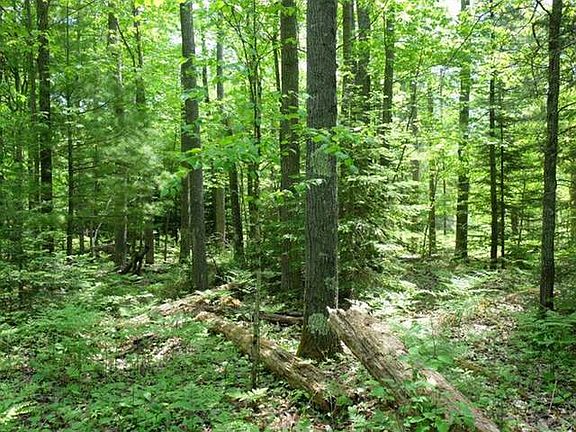 3rd image of Pinehurst Dr Lot 10