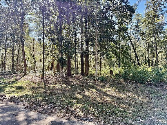 3rd image of Churton Rd