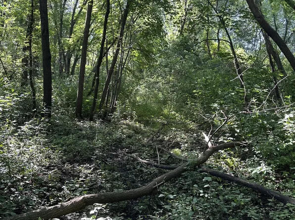 50th St NE, Buffalo, MN 55313