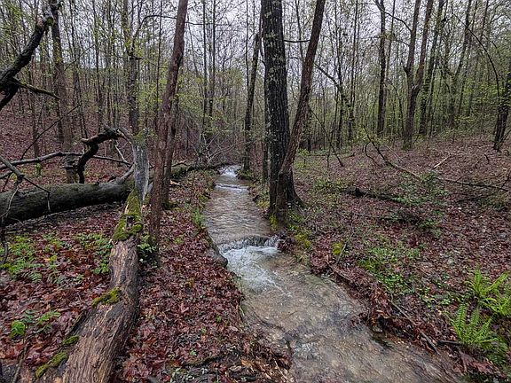 30th image of this home