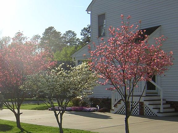 4th image of 9178 Odey Dr