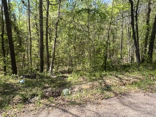 Hines Gin Rd, Selmer, TN 38375