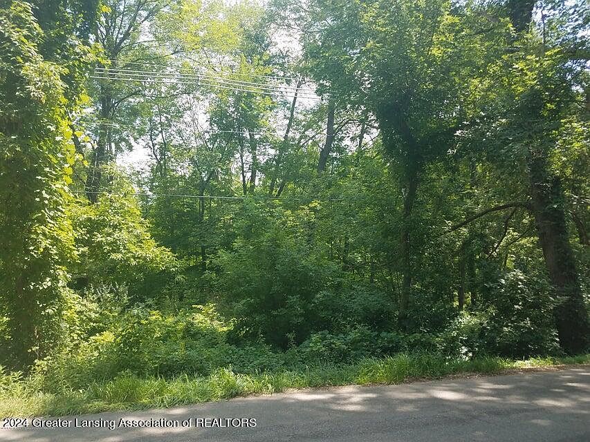 2nd image of 0 Van Atta Rd