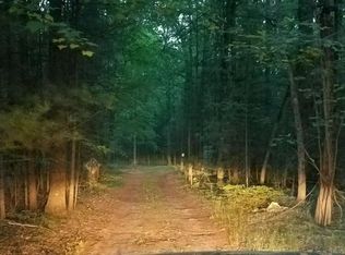 11206 Whitefish Rd, Newaygo, MI 49337