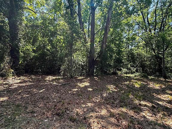 4th image of 1329 County Road 2112