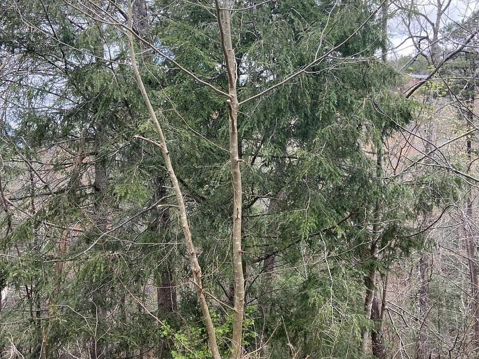 2nd image of LOT 75 Smoky Ridge Way