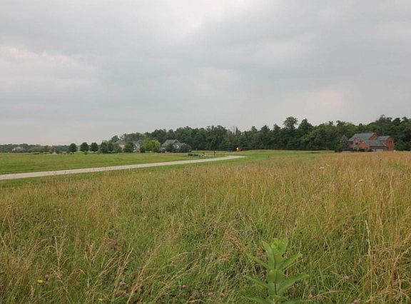 4th image of 365 Larkspur Dr