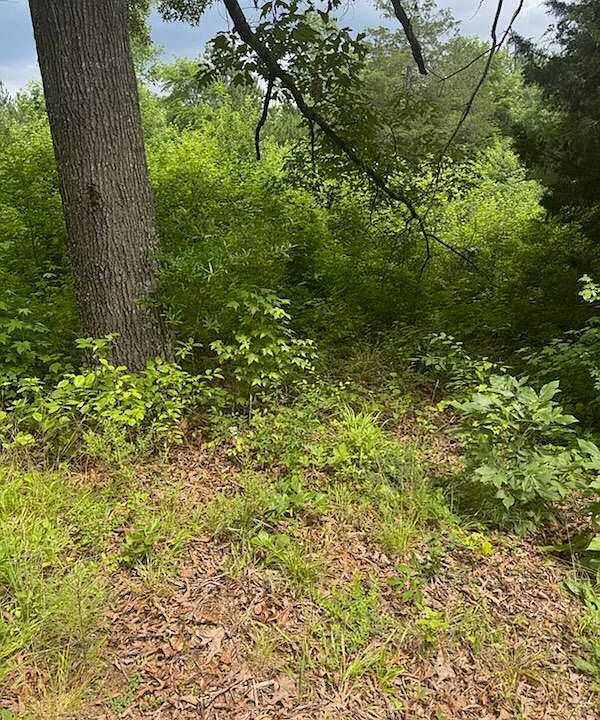 2nd image of 0 Stewart Rd
