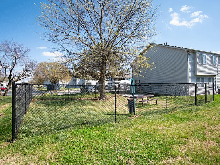 Fenced Dog Park