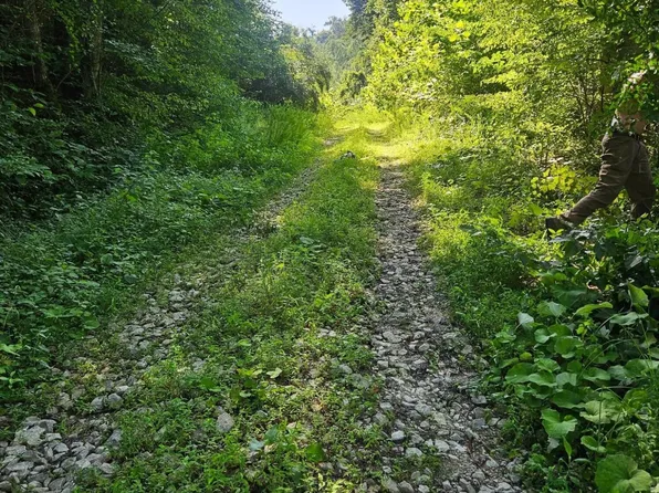 4242 Right Fork Georges Creek Rd, Louisa, KY 41230