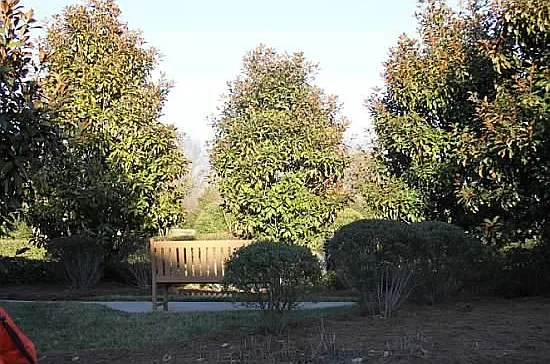 Royal Winchester Dr — Photo 39