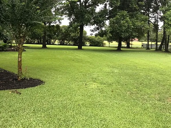 31710 Old Hempstead Rd, Magnolia, TX 77355