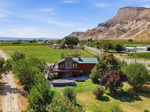 768-36 3/10 Rd, Palisade, CO 81526