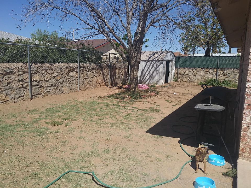 Back yard with Pecan tree and Storage unit