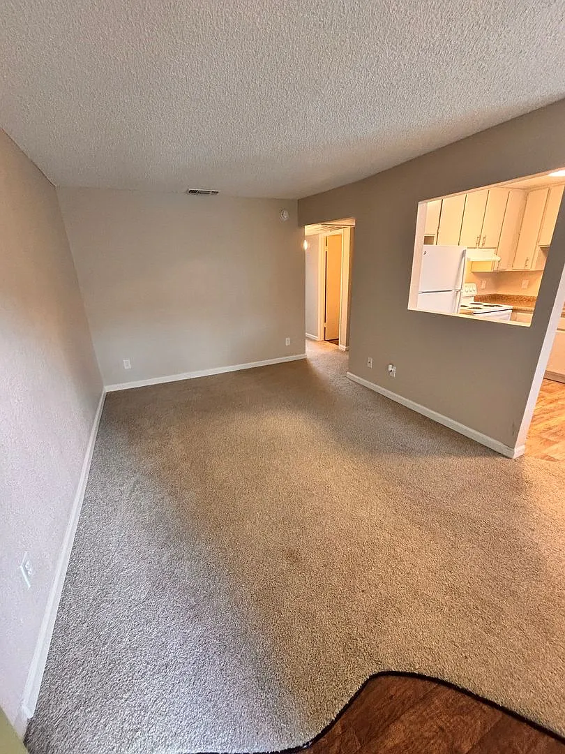 Olive Glen — Photo 4