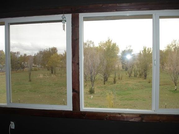 View of back pasture 