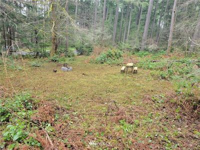 12621 & 12625 Camus Road, Anderson Island, WA, 98303