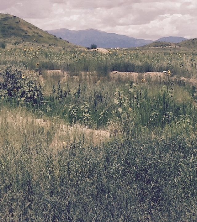 Pikes Peak from French doors