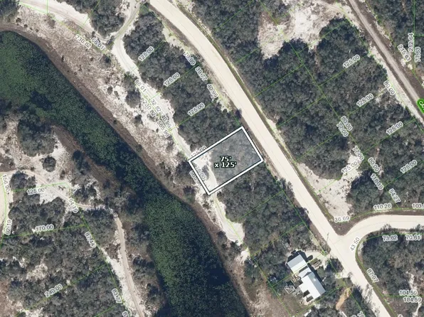 244 Lakeland Dr, Lake Placid, FL 33852