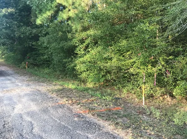 0 Mud Cat Dr #290, Trinity, TX 75862